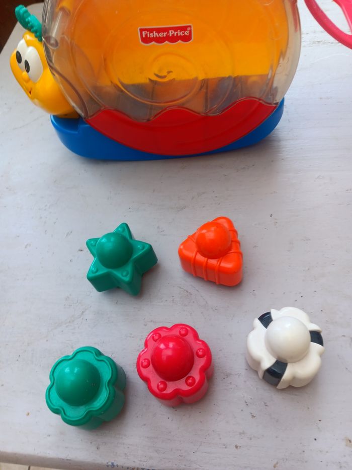 Escargot des formes - photo numéro 2