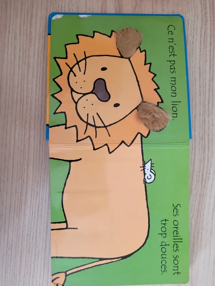Où est mon lion? - photo numéro 4