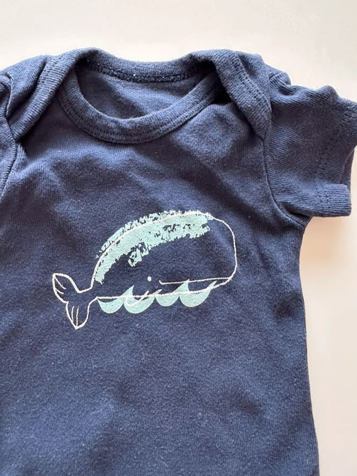 Body manches courtes - 3 mois - La Redoute - photo numéro 2