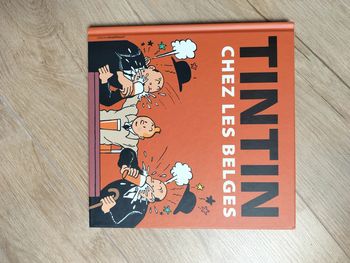 Tintin chez les belges