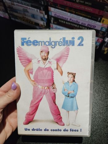Dvd     Fée malgré lui 2