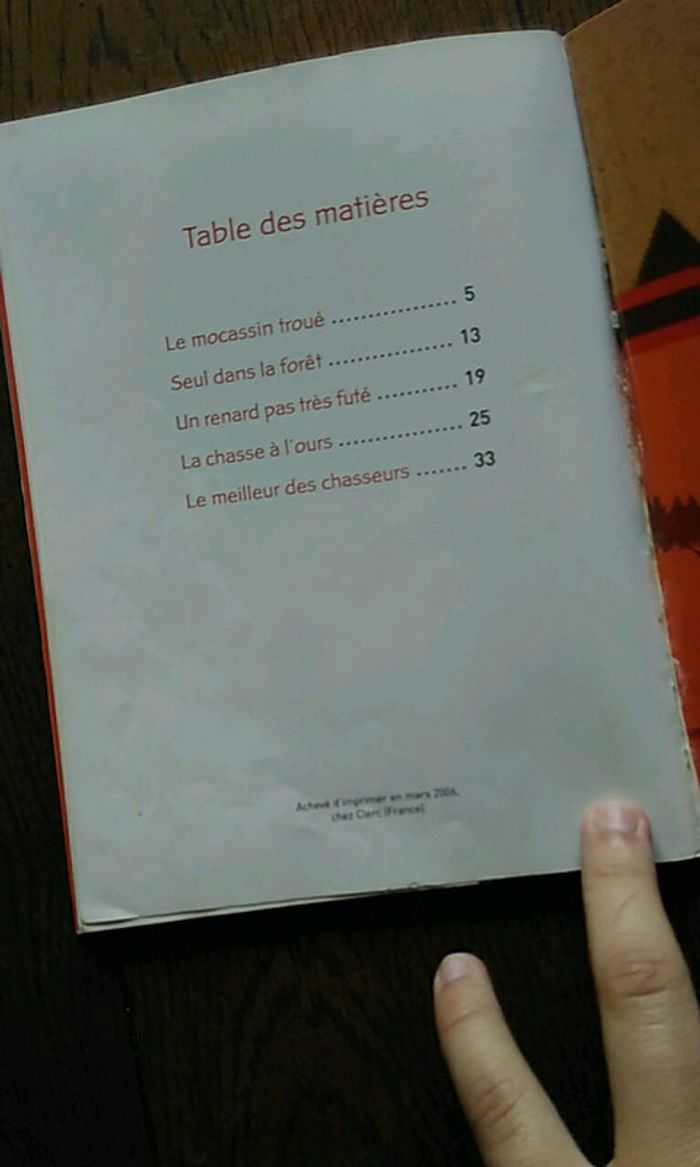 Livre nitou l'Indien - photo numéro 4