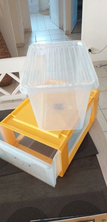 Lot 2 Boites de rangement