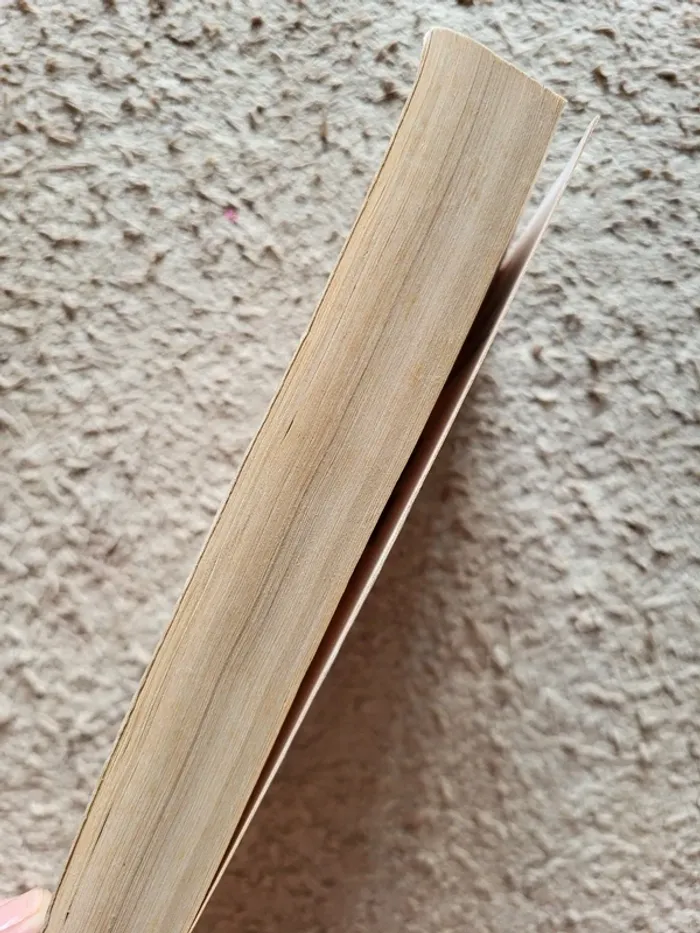 Livre "L'accusé" de John Grisham - The innocent Man - photo numéro 3