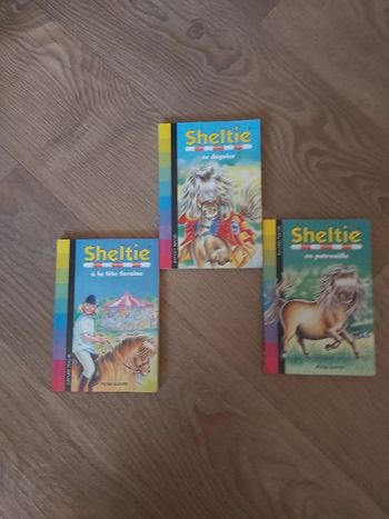 Sheltie