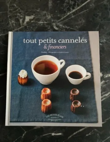 Livre tout petit cannelés et financiers en très bon état