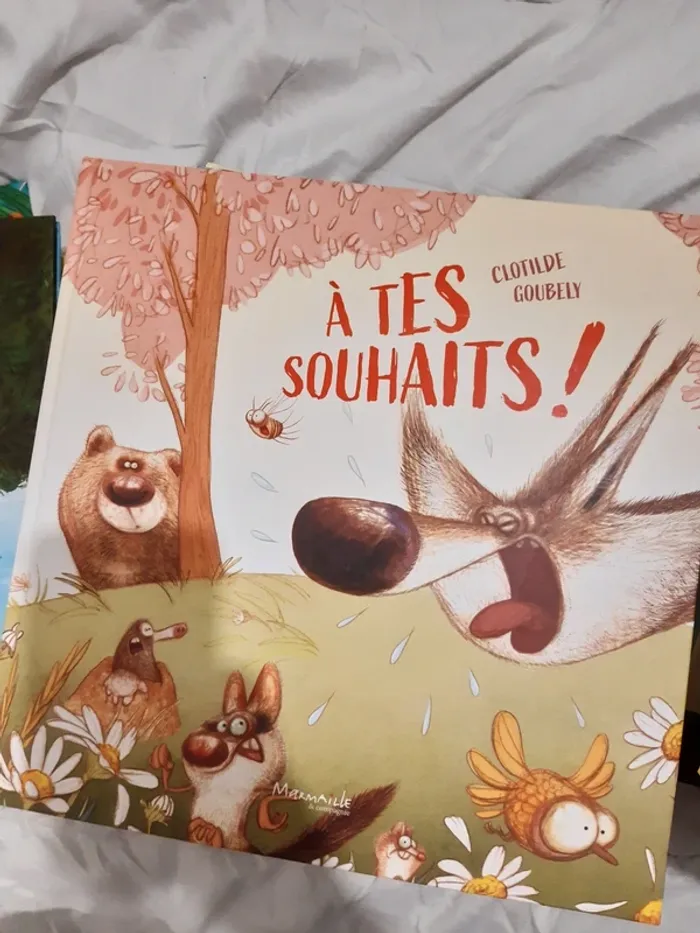 Immense lot de livres jeunesse - photo numéro 4