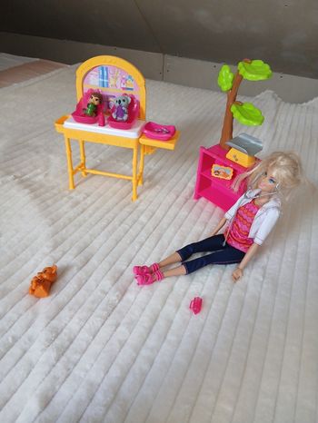 Poupée vétérinaire Barbie + accessoires animaux