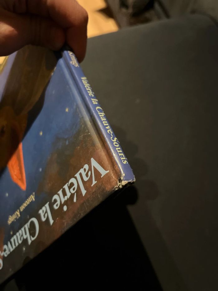 Livre pour enfants antoon krings Valérie la chauve souris - photo numéro 6