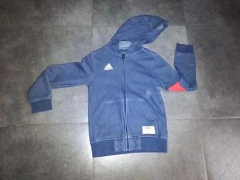 Blouson/gilet zippé à capuche en excellent état + pantalon offert
