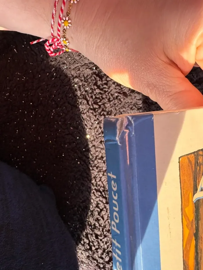 Livre le petit poucet - photo numéro 6