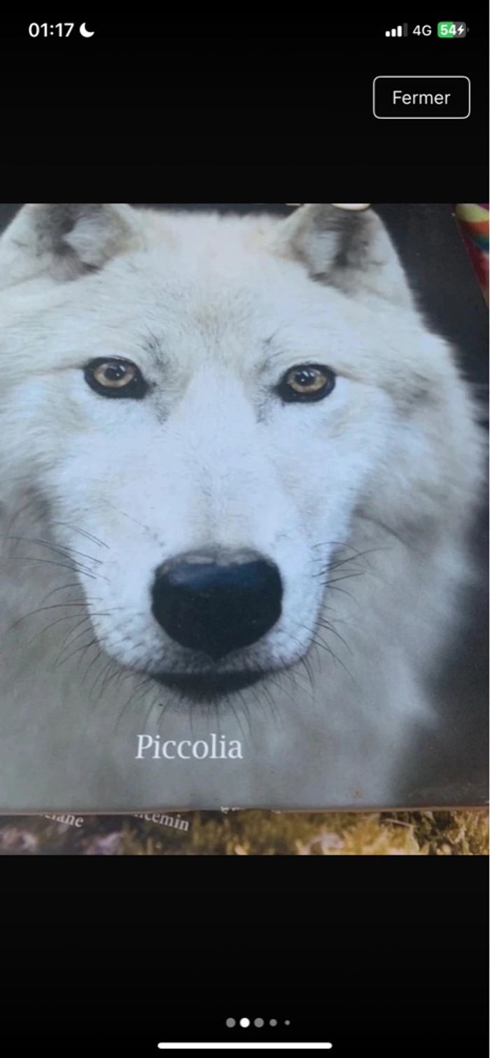 Lot livres pour enfants sur les animaux - photo numéro 8