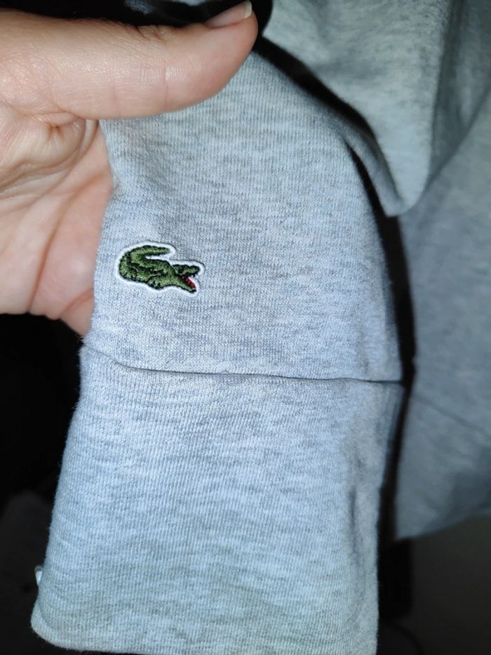 Robe grise Lacoste taille 34 - photo numéro 4