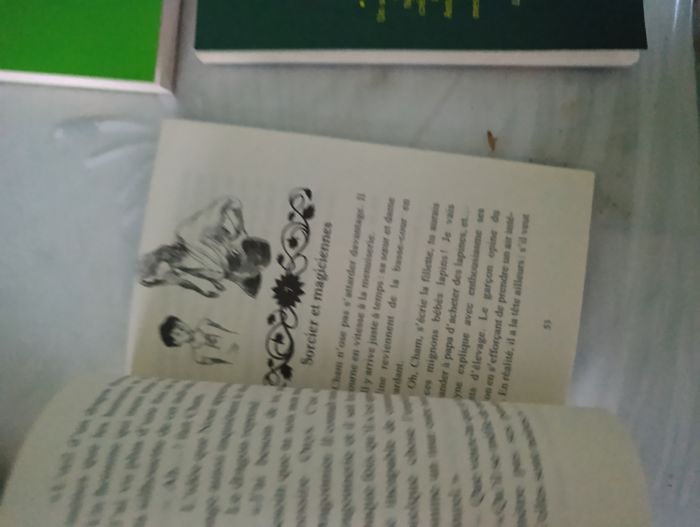 Lot de 7 livres pour enfant Fanny le ranch et les dragons de Nalsara - photo numéro 6