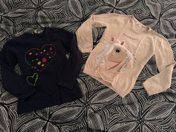 Lot 1 pull, 1T-shirt manches longues