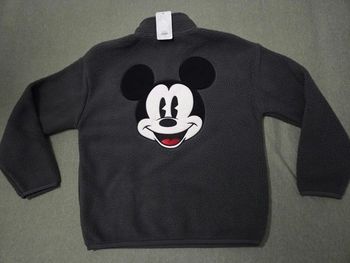 Sweat Polaire logo Disneyland Paris Mickey taille XL +1 cadeau Disney offert