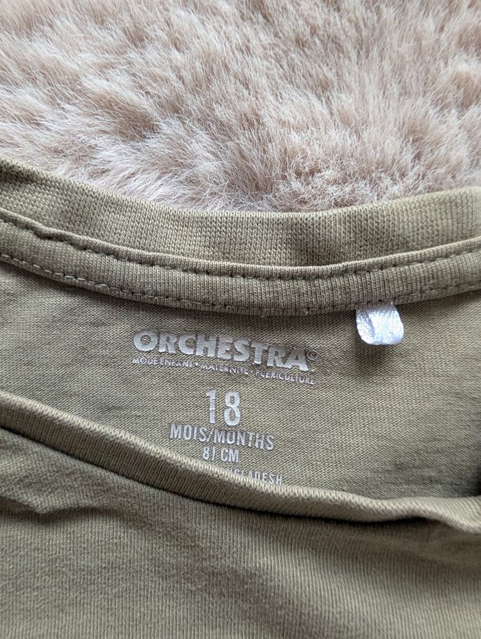 T-shirt manches longues Orchestra 18 mois dinosaure "Catch me!" - photo numéro 4