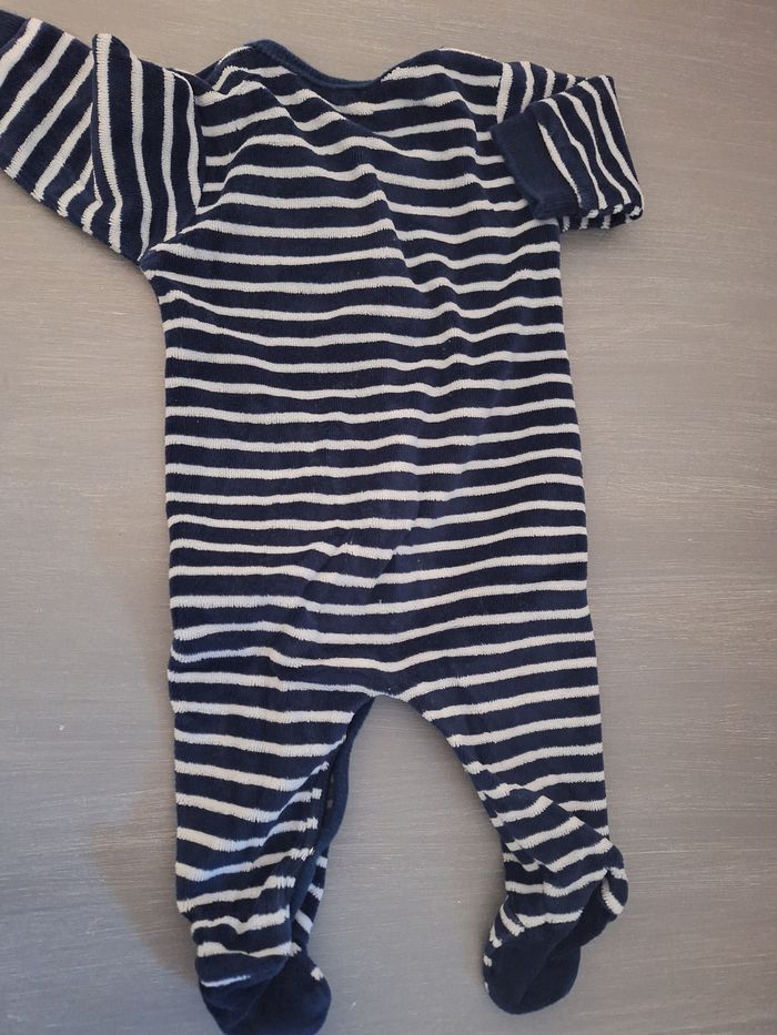 Grenouillère marin - photo numéro 3