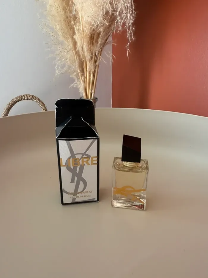 Miniature libre YSL
