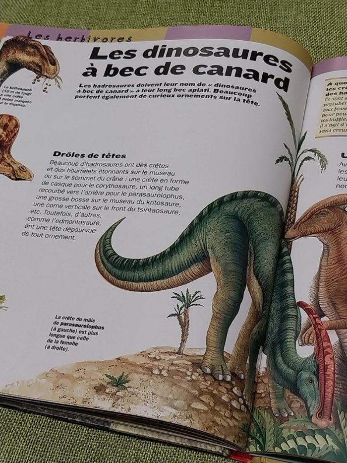 Les dinosaures livre enfant jeunesse Larousse - photo numéro 8