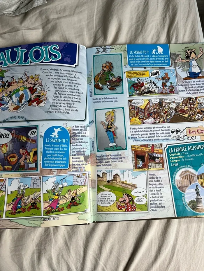 Livret 60 ans d’aventure Astérix - photo numéro 12
