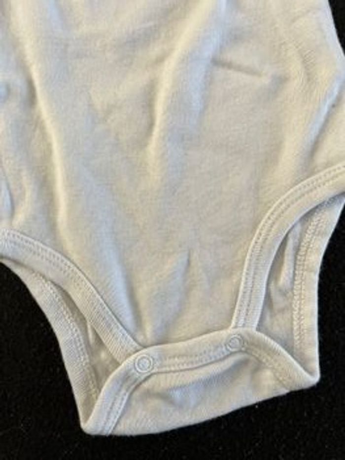 Bodie 3 mois - photo numéro 3