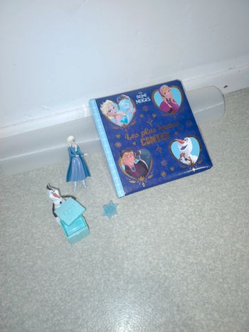 Livre reine des neiges