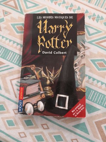 Livre de pop he Harry Potter Les mondes magiques