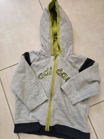 Veste