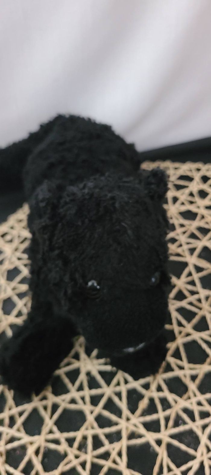 doudou panthère , chien noir dani