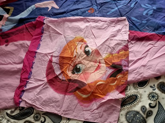 Housse de couette Anna reine des neiges - photo numéro 3