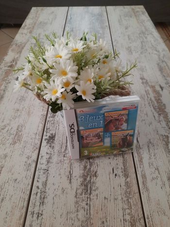 3 jeux en 1 Ds cheval