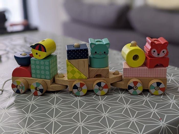 Train baby forest Janod