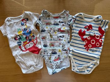 Lot 3 bodies 