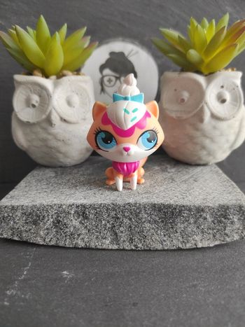 Littlest Petshop LPS Pet Shop chat main coon 3077 cat maincoon #geektradelpschat