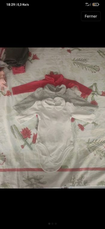 Lot de 3 bodies