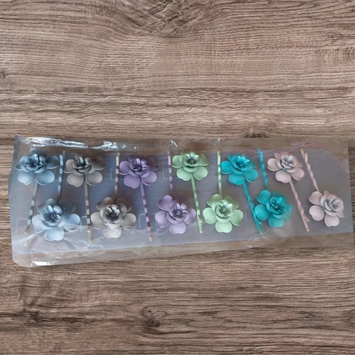 Lot 6 barrettes cheveux neuve sous blister - photo numéro 2