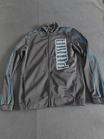 Zip Puma