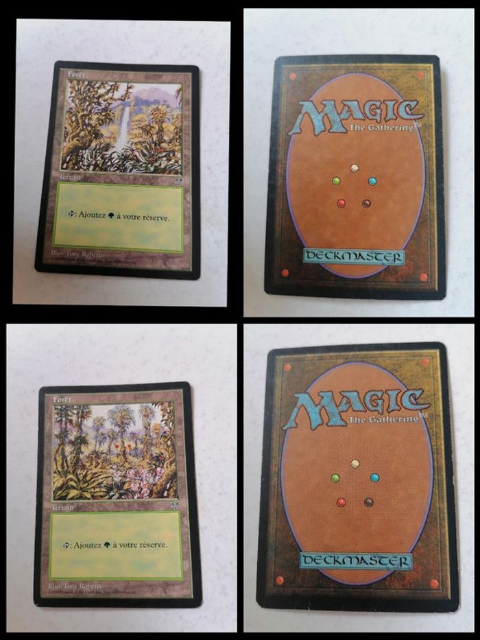 Lot de 20 cartes Magic The Gathering Forteresse the Dark Mirage - photo numéro 8