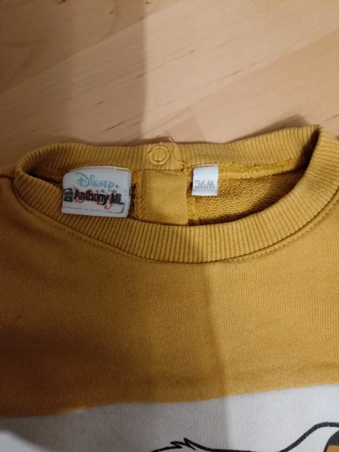 Pull 3 ans le roi lion - photo numéro 3