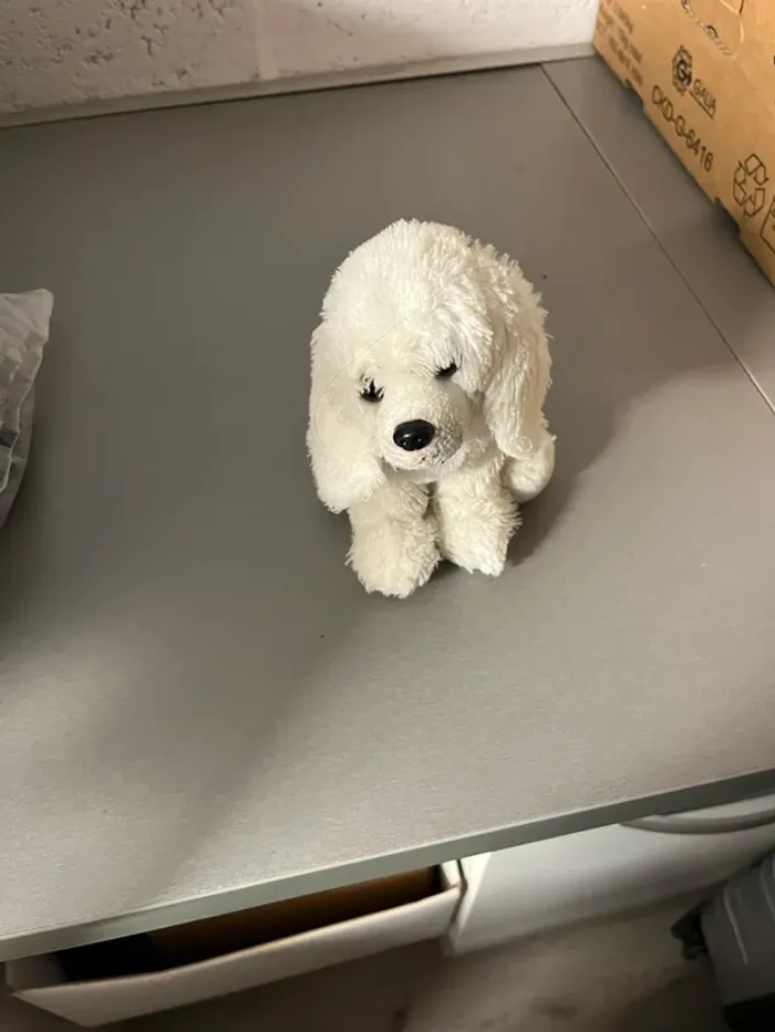 Peluche chien