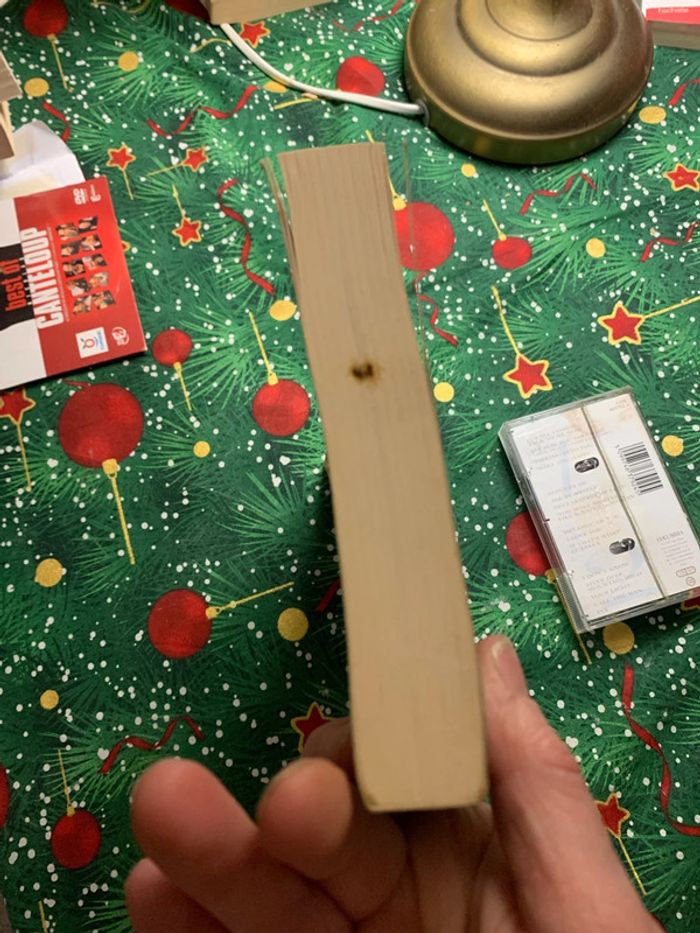 Celine d’ion - photo numéro 7