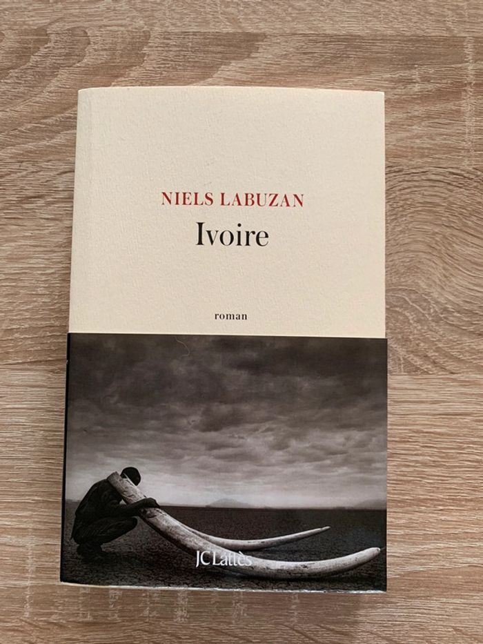Ivoire - photo numéro 1