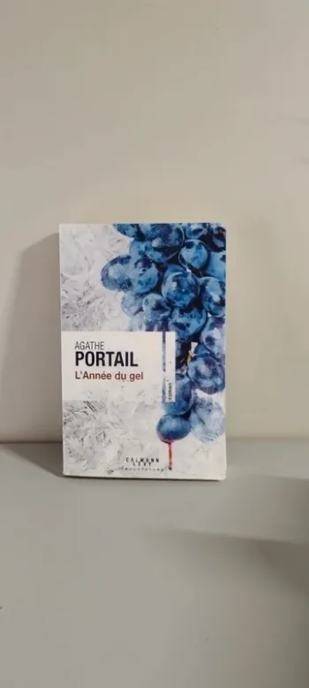 L'année du gel. Agathe Portail