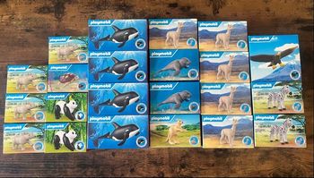 Jouet McDo Playmobil / Livre / jeux de cartes 