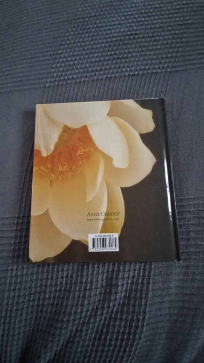 Agenda perpétuel anne geddes - photo numéro 3