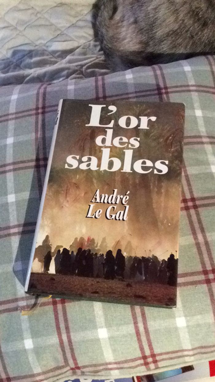 #l’or des sables par André Le Gal - photo numéro 2