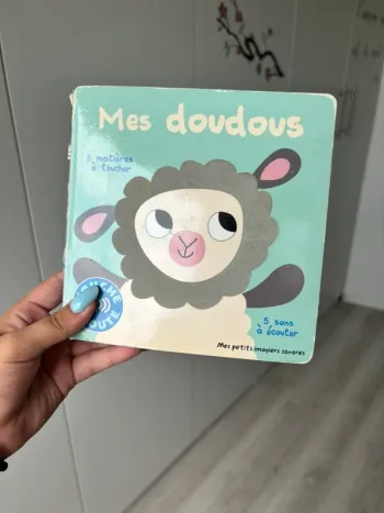Livre mes doudous