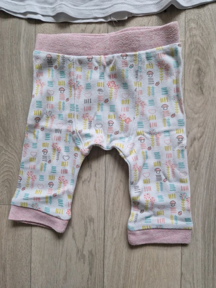 Ensemble Orchestra - photo numéro 3