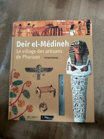 Livre deir el-medineh le village des artisans de pharaon